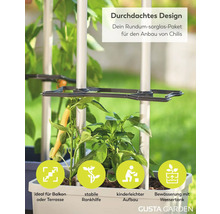 Gusta Garden Chili-Anbau-Set mit stabiler Rankhilfe und Wassertank für Balkon und Terrasse.