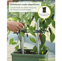 Chilipflanzen im Gusta Garden Pflanzgefäß mit Platz für 20 Liter Erde und zwei Pflanzen, eine Hand erntet eine Chili, Gusta Garden Logo.