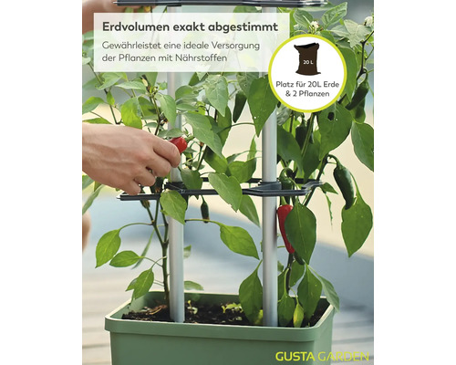 Chilipflanzen im Gusta Garden Pflanzgefäß mit Platz für 20 Liter Erde und zwei Pflanzen, eine Hand erntet eine Chili, Gusta Garden Logo.