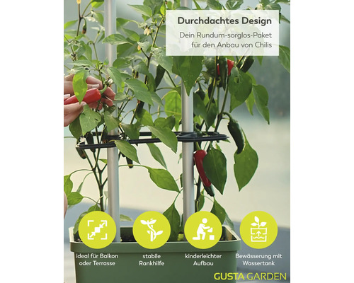 Chilipflanze im Topf mit Rankhilfe, für Balkon und Terrasse, einfacher Aufbau und Wassertank zur Bewässerung. Gusta Garden Logo.