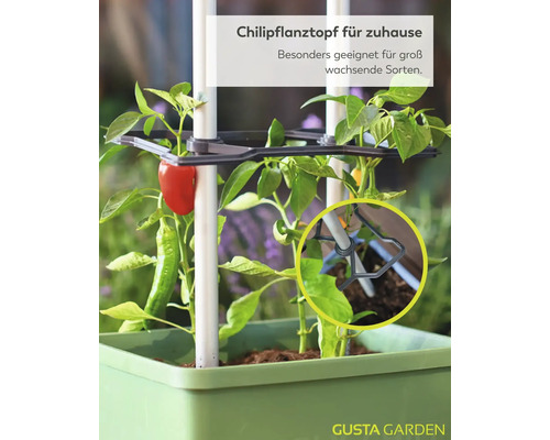 Gusta Garden Chilipflanztopf mit Rankhilfe und Halterungssystem für groß wachsende Chilisorten, bepflanzt mit einer Chilipflanze.