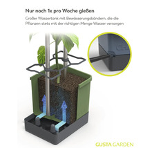 Querschnitt eines Pflanztopfs mit Bewässerungssystem, Wassertank und Bewässerungsbändern zur automatischen Wasserversorgung der Pflanzen.