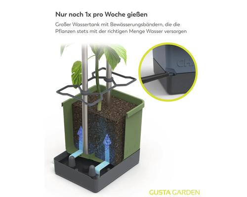 Querschnitt eines Pflanztopfs mit Bewässerungssystem, Wassertank und Bewässerungsbändern zur automatischen Wasserversorgung der Pflanzen.