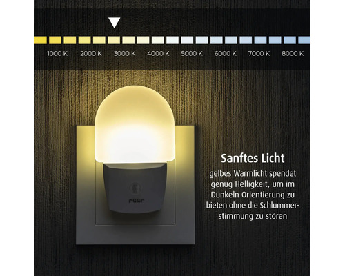reer Nachtlicht in einer Steckdose mit reer Logo, warmweißem Licht und einer Farbtemperaturskala bei circa 2700 Kelvin.