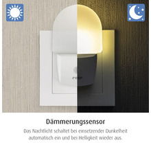 Nachtlicht für die Steckdose mit Dämmerungssensor, das sich bei Dunkelheit automatisch einschaltet und bei Helligkeit ausschaltet. Reer Logo.