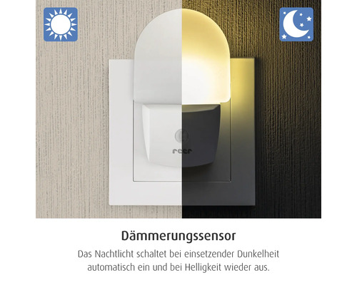Nachtlicht für die Steckdose mit Dämmerungssensor, das sich bei Dunkelheit automatisch einschaltet und bei Helligkeit ausschaltet. Reer Logo.