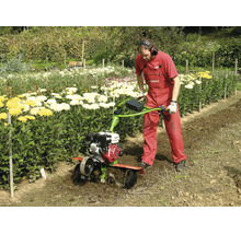 Eine Person bedient eine Motorhacke zur Bodenbearbeitung in einem Garten neben einer Reihe gelber und weißer Blumen.