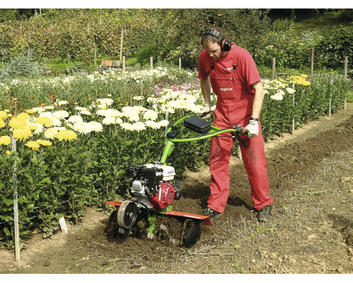 Eine Person bedient eine Motorhacke zur Bodenbearbeitung in einem Garten neben einer Reihe gelber und weißer Blumen.