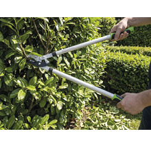 Person schneidet eine Hecke mit einer Bypass-Astschere im Garten. Die Astschere hat lange Griffe und ergonomische Griffe.