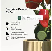 FYTA smarter Pflanzensensor in einem Blumentopf mit einer Paprikapflanze, App-Benachrichtigung und Symbole für Feuchtigkeit und Pflanzengesundheit.