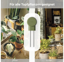 FYTA Pflanzensensor für Topfpflanzen im Innenbereich und Außenbereich mit zwei Metallstäben zur Bodenmessung.