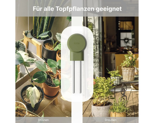 FYTA Pflanzensensor für Topfpflanzen im Innenbereich und Außenbereich mit zwei Metallstäben zur Bodenmessung.