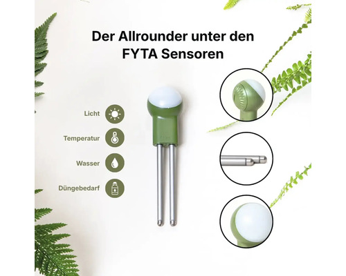 FYTA Pflanzensensor zur Messung von Licht, Temperatur, Wasser und Düngebedarf mit zwei Metallstäben.