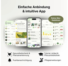 Smartphone mit App zur Pflanzenpflege. Funktionen: Pflanzenerkennung, Gesundheitscheck, Pflegeanleitungen und Tutorials ohne Abonnementgebühren.
