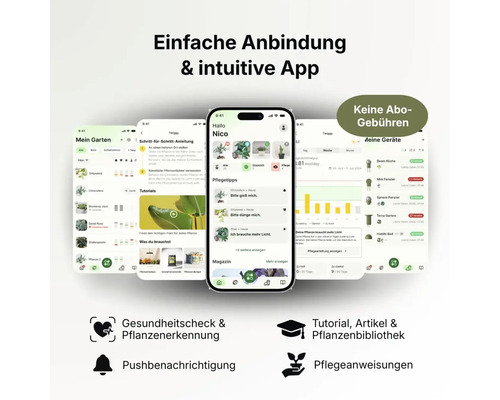 Smartphone mit App zur Pflanzenpflege. Funktionen: Pflanzenerkennung, Gesundheitscheck, Pflegeanleitungen und Tutorials ohne Abonnementgebühren.