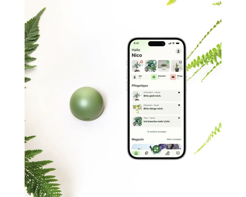Grüner, kugelförmiger smarter Pflanzensensor neben einem Smartphone mit Pflanzenpflege-App und Statusmeldungen, umgeben von Farnblättern.