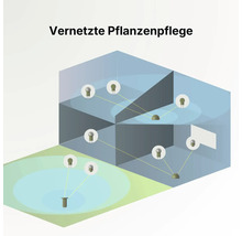 Infografik zur vernetzten Pflanzenpflege mit Darstellung von Sensoren in verschiedenen Wohnbereichen und im Garten.