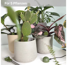 Moderne Szene mit verschiedenen Zimmerpflanzen in Töpfen, ausgestattet mit smarten Sensoren zur Überwachung der Bodenfeuchtigkeit für fünf Pflanzen.