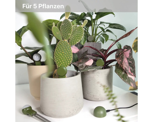 Moderne Szene mit verschiedenen Zimmerpflanzen in Töpfen, ausgestattet mit smarten Sensoren zur Überwachung der Bodenfeuchtigkeit für fünf Pflanzen.