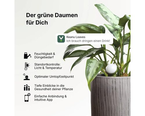 Smarter Pflanzensensor zur Überwachung von Feuchtigkeit, Licht, Temperatur und Düngerbedarf einer Zimmerpflanze mit Benachrichtigung per App.