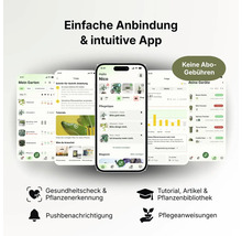 Smartphone mit App zur Pflanzenpflege inklusive Pflanzenerkennung, Tutorials, Pflegehinweisen und ohne Abo-Gebühren.