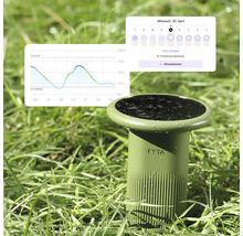 FYTA Beam Pflanzensensor im Rasen mit App-Anzeige für Bodenfeuchtigkeit und Düngerbedarf.