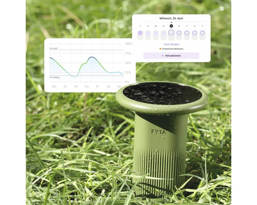 FYTA Beam Pflanzensensor im Rasen mit App-Anzeige für Bodenfeuchtigkeit und Düngerbedarf.