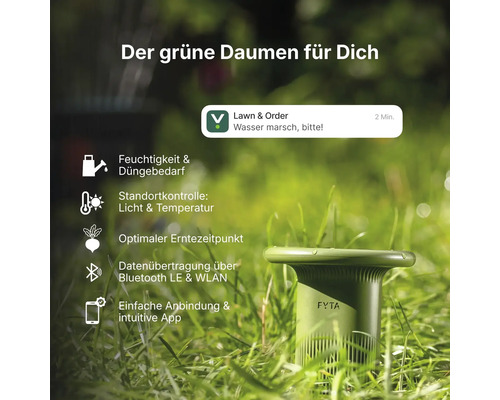 FYTA Pflanzensensor im Rasen mit Funktionen wie Feuchtigkeitsmessung, Lichtkontrolle, Temperaturkontrolle, Bluetooth, WLAN und App-Anbindung.