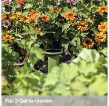 Grüner Gartenregner in einem Blumenbeet mit orangefarbenen Blumen und grünen Blättern.