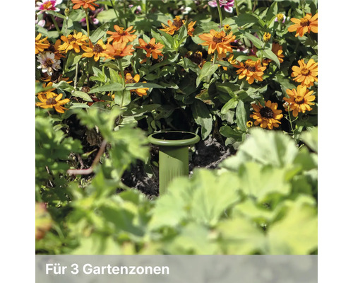 Grüner Gartenregner in einem Blumenbeet mit orangefarbenen Blumen und grünen Blättern.
