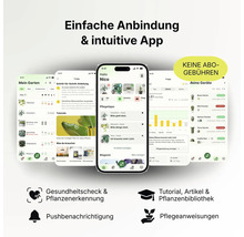Smartphone mit intuitiver Pflanzenpflege-App für Gesundheitscheck, Pflanzenerkennung und Tutorials ohne Abonnement-Gebühren.