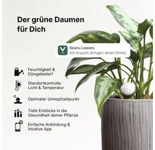 Smarter Pflanzensensor im Blumentopf mit App-Anbindung zur Überwachung von Feuchtigkeit, Licht, Temperatur und Pflanzengesundheit.
