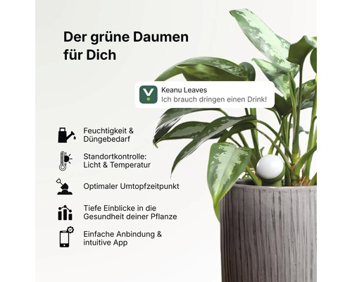 Smarter Pflanzensensor im Blumentopf mit App-Anbindung zur Überwachung von Feuchtigkeit, Licht, Temperatur und Pflanzengesundheit.