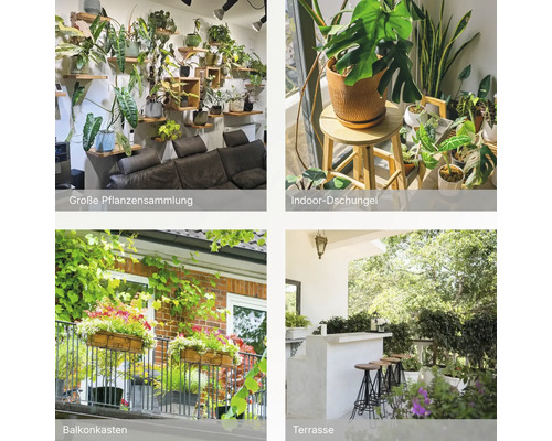 Collage mit Zimmerpflanzen auf Wandregalen, einem Indoor-Dschungel, Blumenkästen am Balkon und einer begrünten Terrasse.