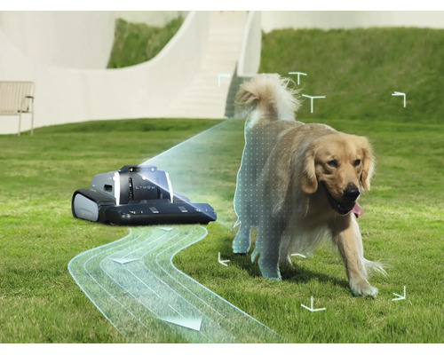 Lymow Mähroboter mit Sensoren zur Hinderniserkennung erkennt einen Hund auf dem Rasen und visualisiert den Fahrweg.