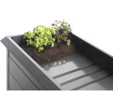 Hochbeet aus Metall mit Kräutern und Erde, Detailansicht der inneren Ablagefläche.