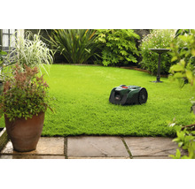 Mähroboter auf einer Rasenfläche in einem hellen, gepflegten Garten mit Pflanzen und Steinweg.