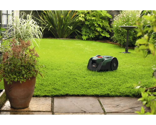 Mähroboter auf einer Rasenfläche in einem hellen, gepflegten Garten mit Pflanzen und Steinweg.