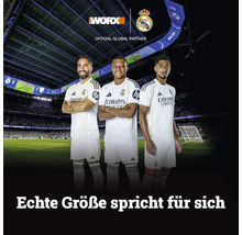 Drei Real Madrid Fußballspieler in einem Stadion. Worx Logo und Real Madrid Logo mit dem Text Official Global Partner.