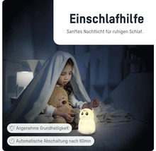 Kind im Bett mit Teddybär und hamsterförmigem Nachtlicht. Angenehme Helligkeit und automatische Abschaltung nach 60 Minuten.