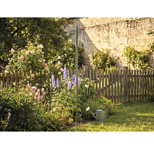 Grüner Tomatenspiralstab in einem blühenden Garten mit Rosen, Rittersporn und einer Gießkanne vor einem Holzzaun.
