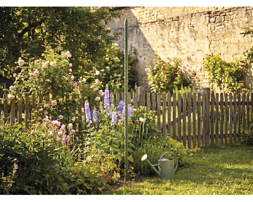 Grüner Tomatenspiralstab in einem blühenden Garten mit Rosen, Rittersporn und einer Gießkanne vor einem Holzzaun.