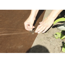Hände befestigen ein Unkrautvlies mit einem Erdanker aus Metall im Gartenboden.