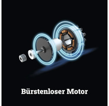 Bürstenloser Motor in einer Explosionszeichnung mit Darstellung der inneren Bauteile wie Rotor und Stator.