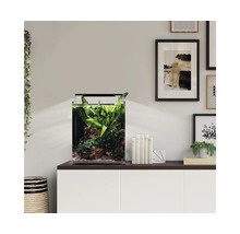 Modernes Aquarium-Set mit echten Pflanzen und Steinen auf einem weißen Sideboard in einem hellen Wohnzimmer.