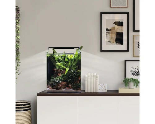 Modernes Aquarium-Set mit echten Pflanzen und Steinen auf einem weißen Sideboard in einem hellen Wohnzimmer.