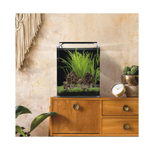Kleines bepflanztes Aquarium mit Steinen und LED-Beleuchtung auf einer Holzkommode in einem hellen, modern eingerichteten Zimmer.