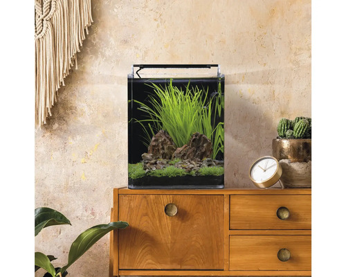 Kleines bepflanztes Aquarium mit Steinen und LED-Beleuchtung auf einer Holzkommode in einem hellen, modern eingerichteten Zimmer.