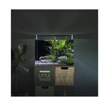 Eingerichtetes Nano-Aquarium mit LED-Beleuchtung auf einer Kommode mit Schubladen, bepflanzt mit Wasserpflanzen.
