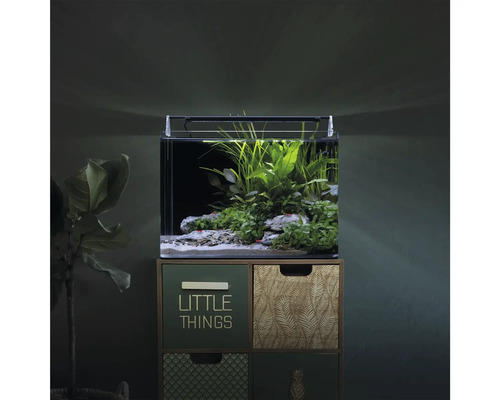Eingerichtetes Nano-Aquarium mit LED-Beleuchtung auf einer Kommode mit Schubladen, bepflanzt mit Wasserpflanzen.